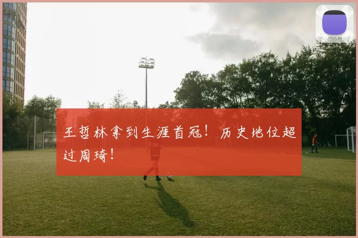 王哲林拿到生涯首冠！历史地位超过周琦！