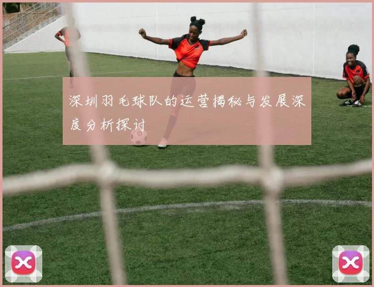 深圳羽毛球队的运营揭秘与发展深度分析探讨