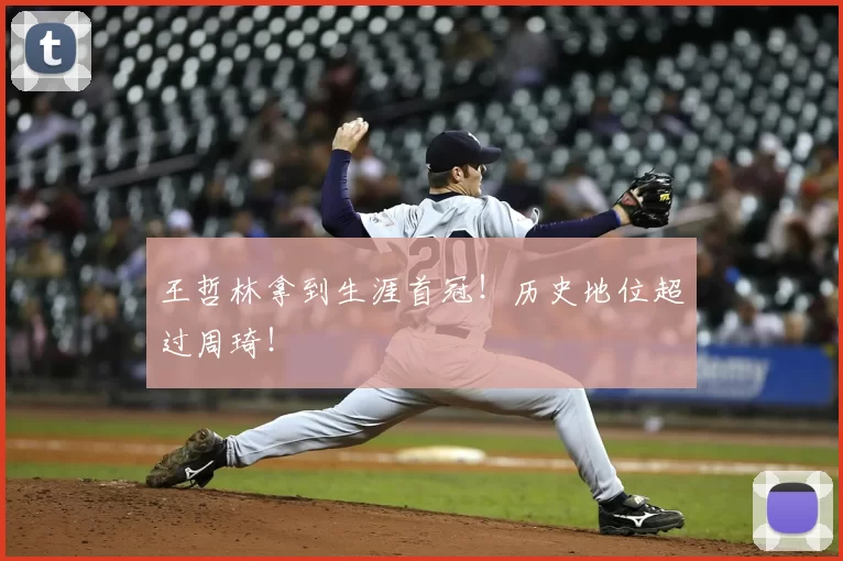 王哲林拿到生涯首冠！历史地位超过周琦！