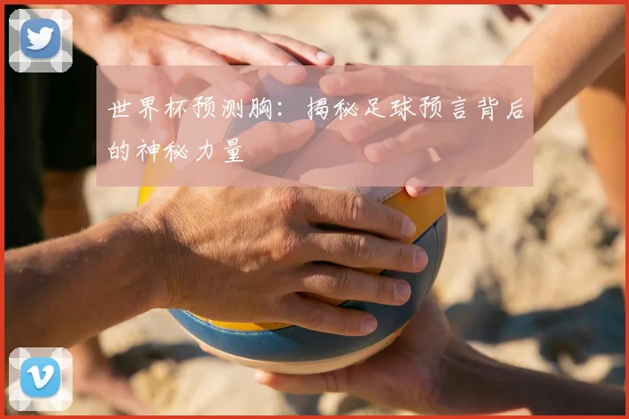 世界杯预测胸:揭秘足球预言背后的神秘力量